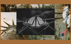 A monarch butterfly rests on a wire fence set into The Experiment's image template.