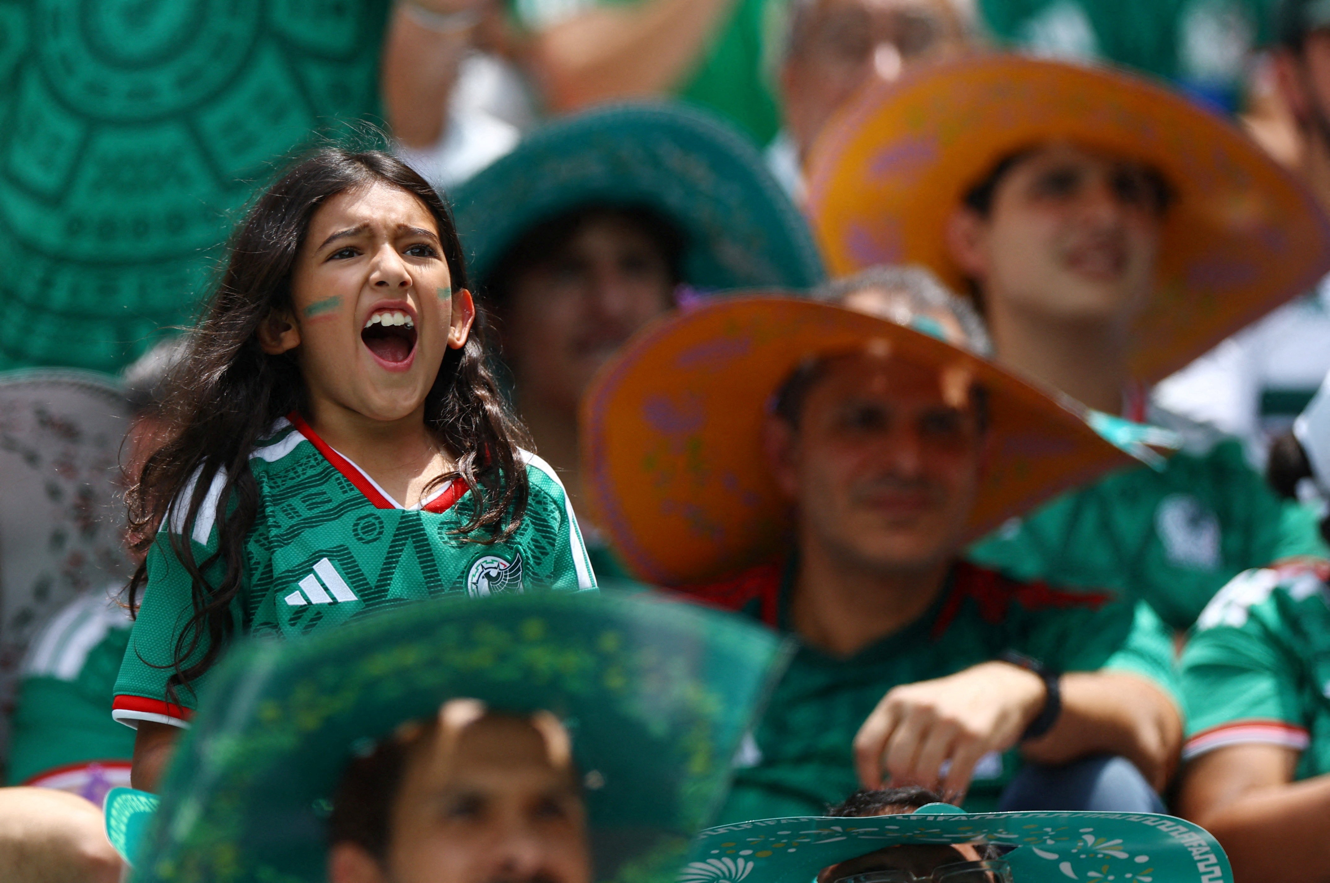 Team Mexico fans cheer during a soccer match.