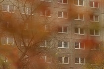 A blur of red leaves with a building in the background