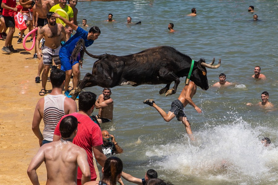 Revelers standing on a shoreline and splashing in the water nearby while trying to evade a young bull who has just leapt toward the water
