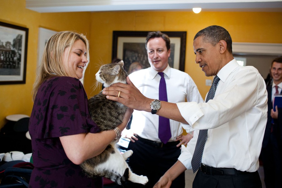 A woman holds up a cat in front of David Cameron and Barack Obama.