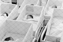 Newborn babies in a hospital, but they're behind a wire fence