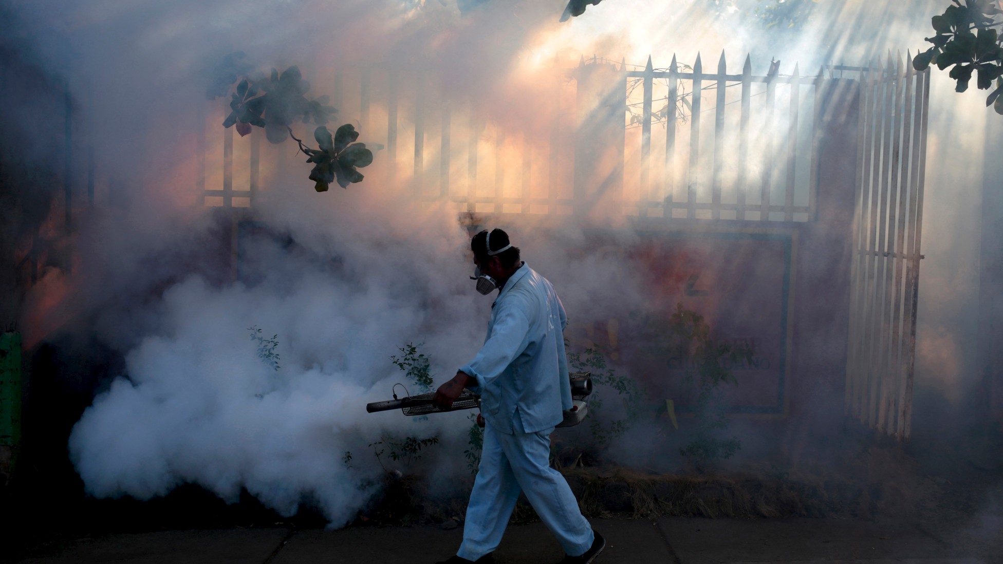 What S Next For The Zika Virus The Atlantic   Original 