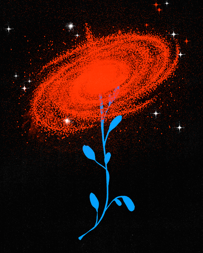 illustration of a red flower that looks like a universe, with a blue stem.