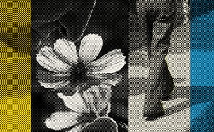 All Stories by Tracy Wan - The Atlantic