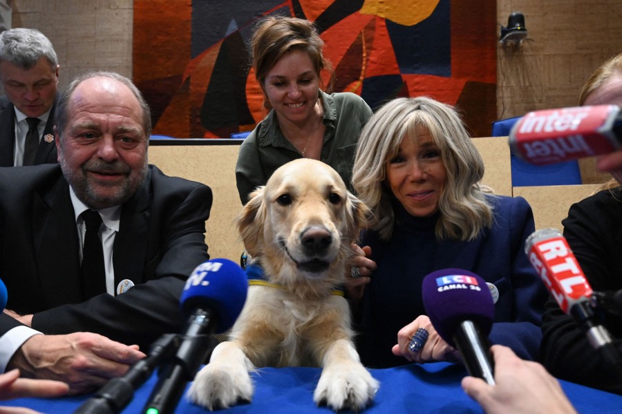 A man and woman sit a t a table in front of microphones, with a golden retriever between them.