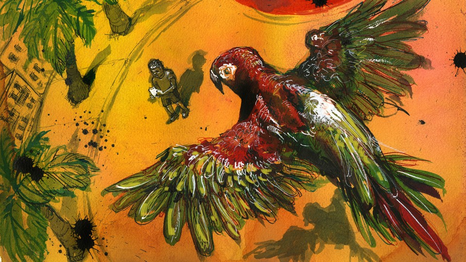 An illustration of a parrot soaring above a sun-baked landscape where a boy stands near a sidewalk with palm trees