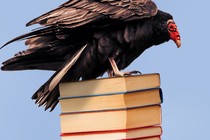 vulture on a stack of books