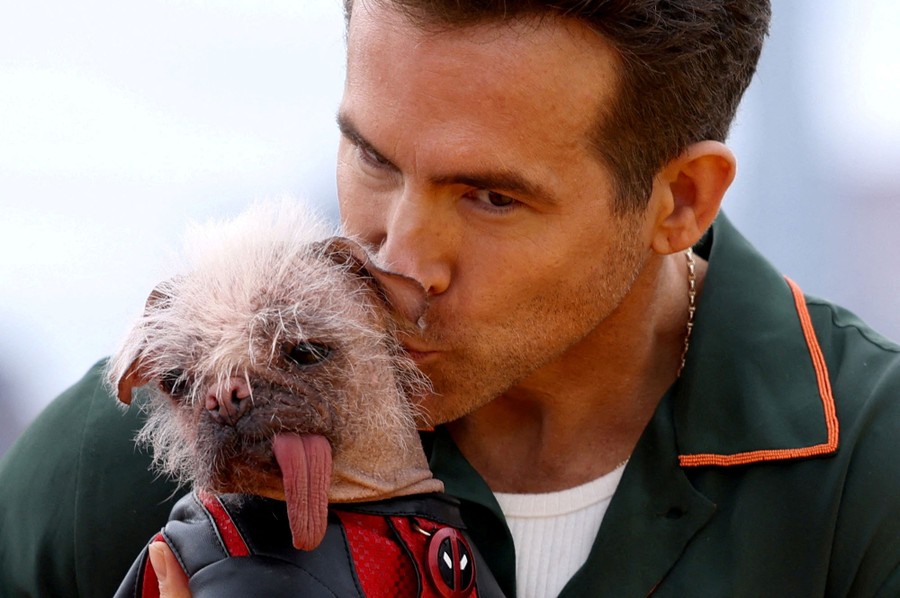 Ryan Reynolds kisses a small dog that has sparse tufts of hair and a long hanging tongue.