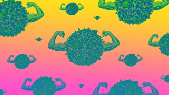 art of immune cells flexing