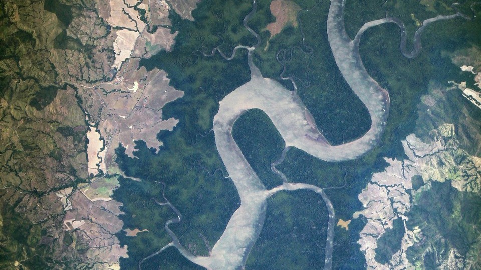 An aerial view of a river and a forest