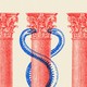 An illustration of the columns of the Supreme Court and the caduceus.