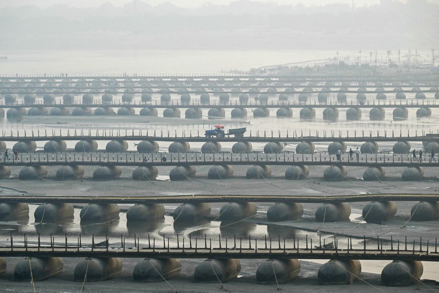 A person drives a tractor across one of many parallel floating pontoon bridges over a shallow river.