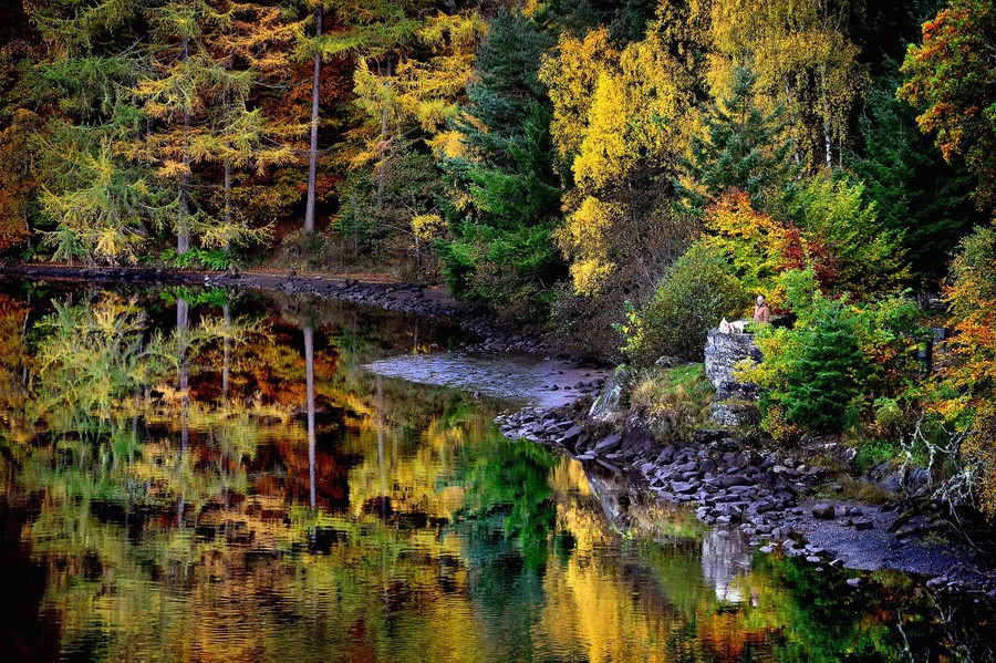 A Walk in the Woods: A Photo Appreciation of Trees - The Atlantic