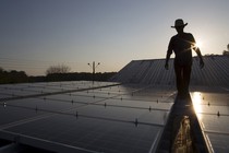 A person wearing a cowboy hat walks along a row of solar panels.