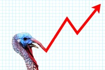 An illustration of a turkey and a line graph pointing upwards