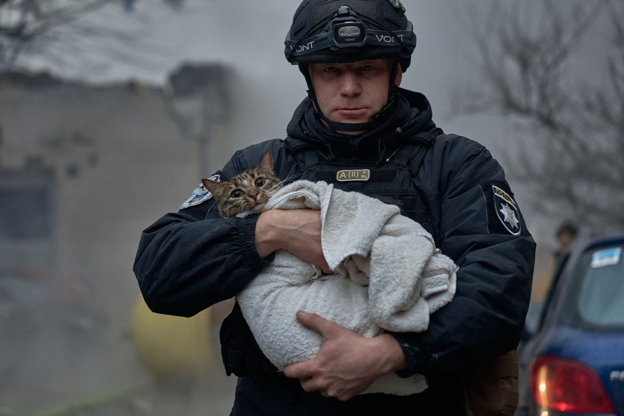 A rescue worker carries a cat wrapped in a towel.