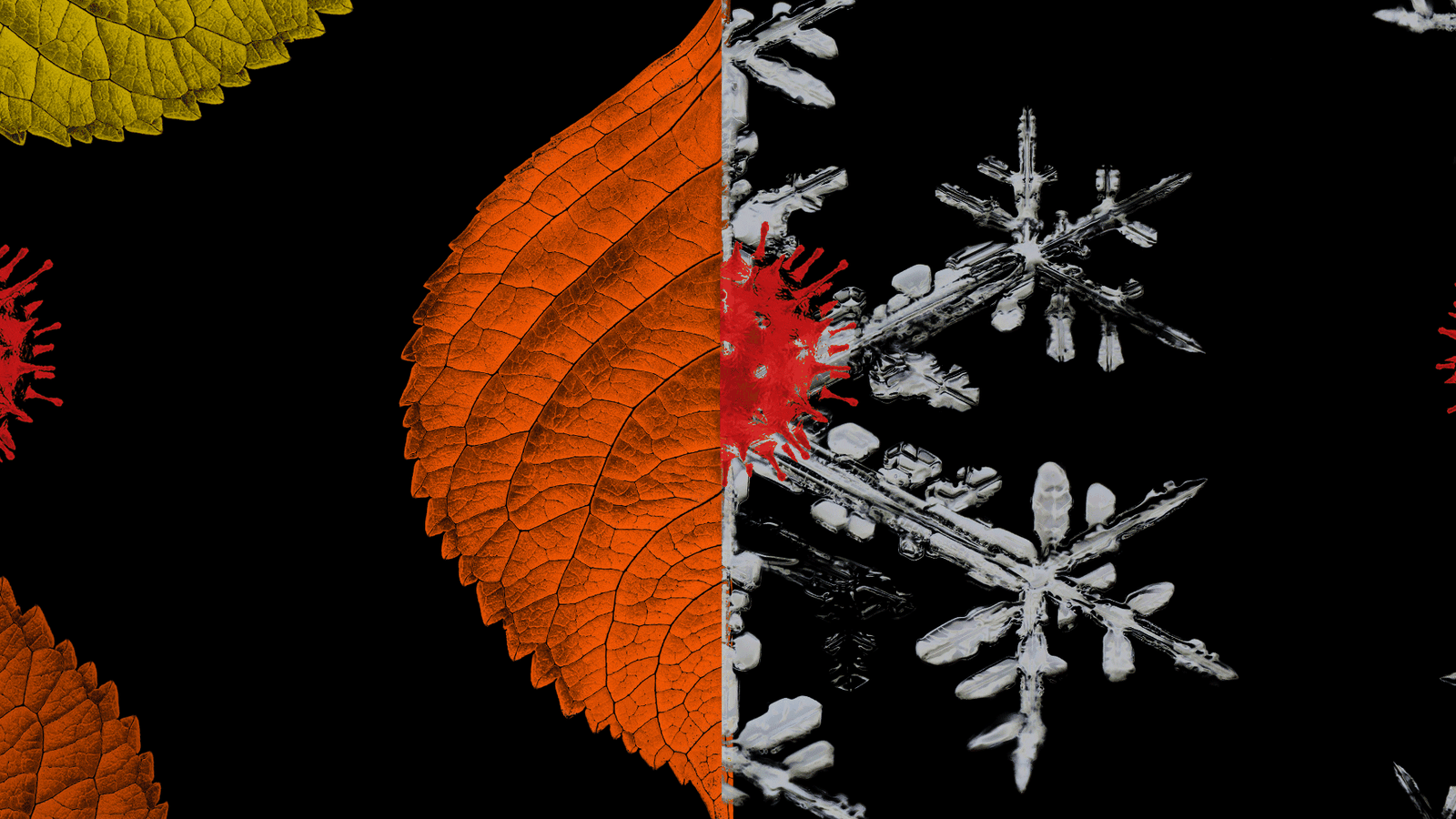 How to Avoid a Winter COVID Catastrophe - The Atlantic