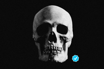 A photograph of a skull next to the blue "verified" checkmark logo from Twitter.