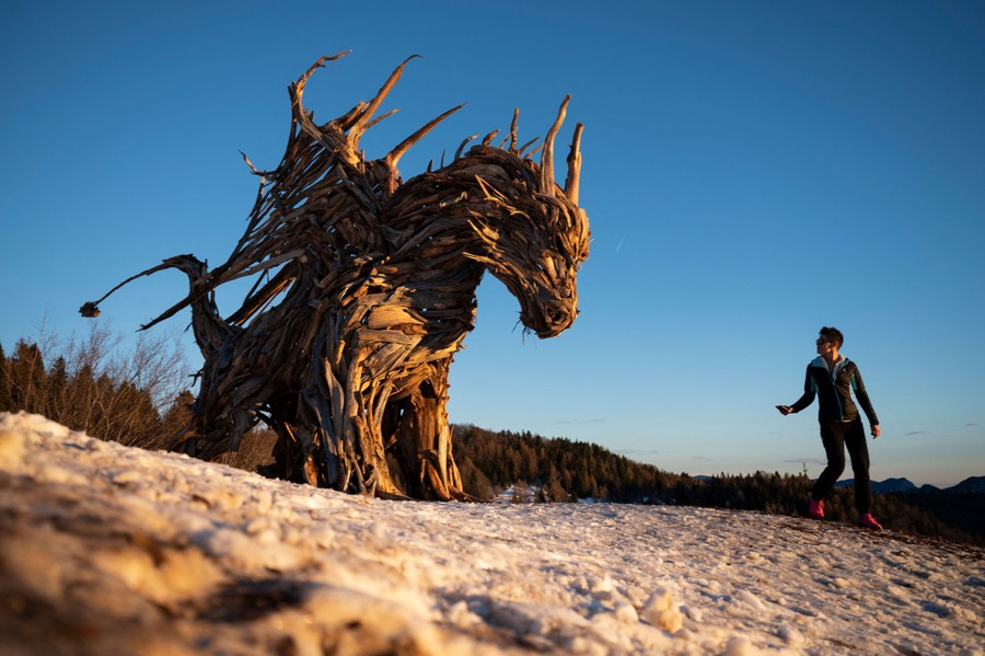A person walks beside a large sculpture of a dragon crafted from pieces of damaged trees and branches.