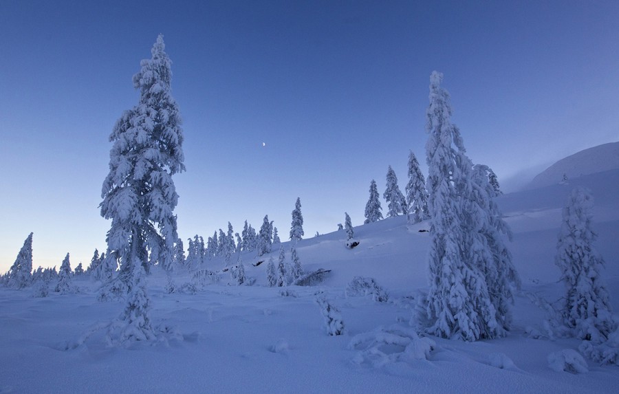 A Siberian Winter - The Atlantic