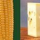 corn, cheese