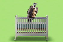 A vulture perched on a cradle