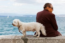 A dog and its owner by the sea.