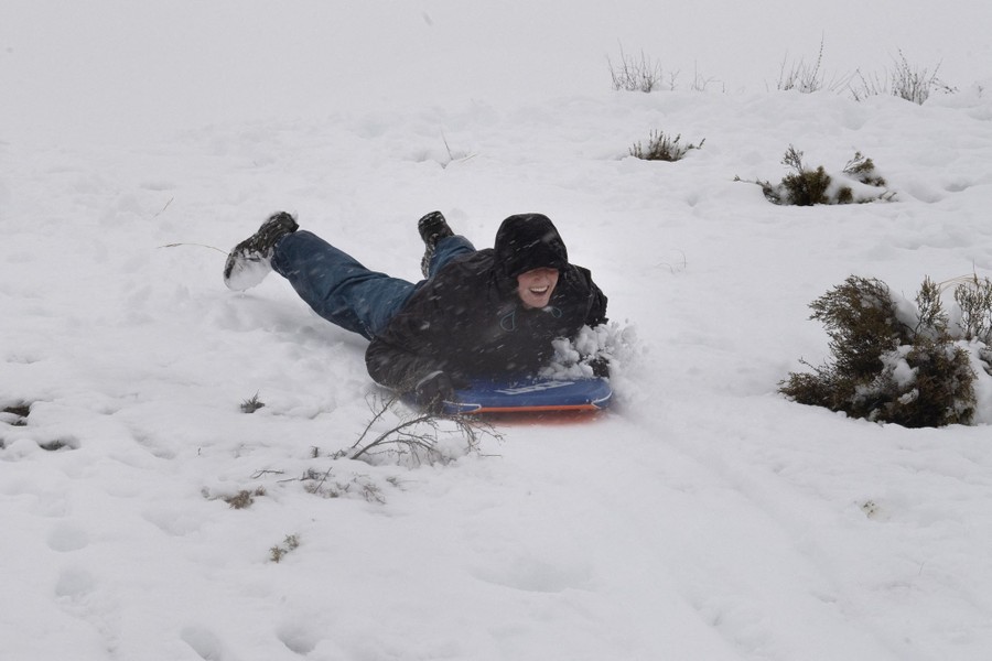 A person rides on their belly on a sled down a snow-covered hill.