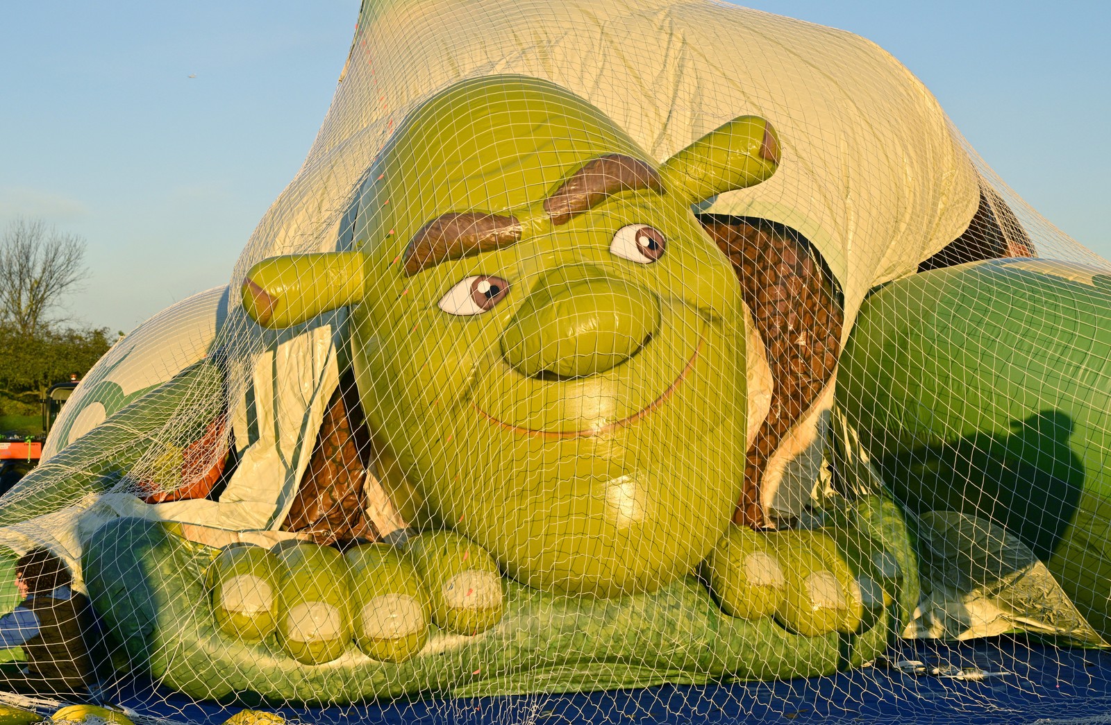 A huge balloon shaped like the character Shrek, being inflated, under netting.