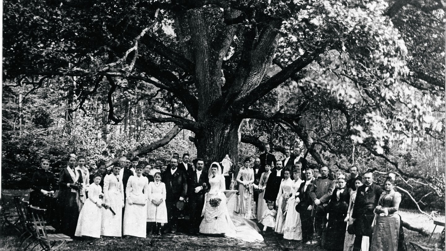 Post War Weddings - Women & the American Story