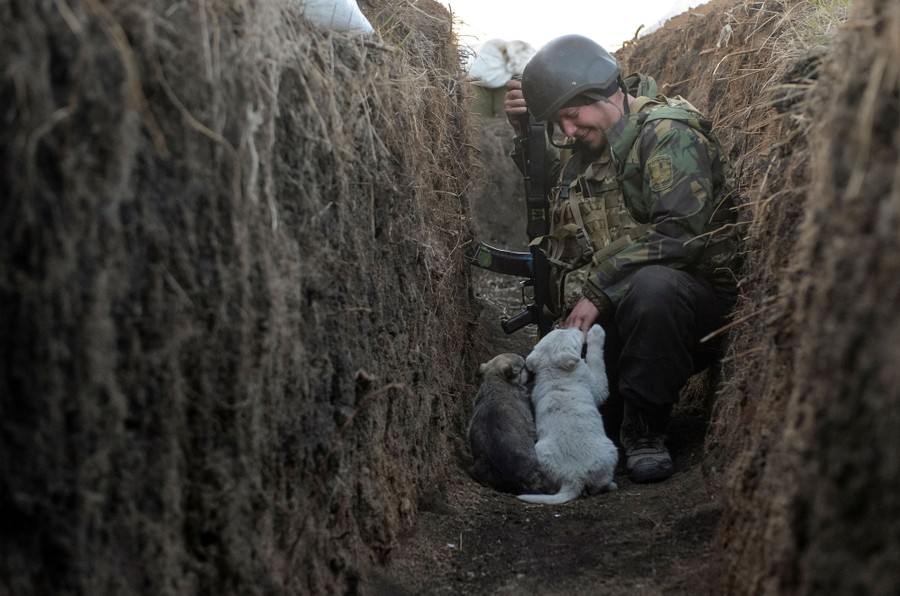 A soldier holds his weapon while kneeling in a trench and playing with two puppies.