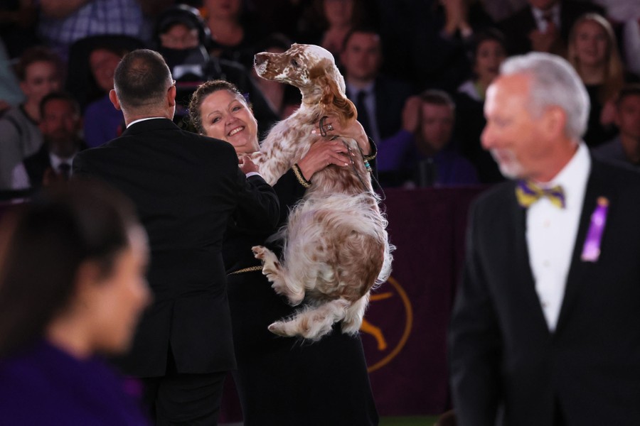 A person lifts a dog to hug it, as an audience looks on.