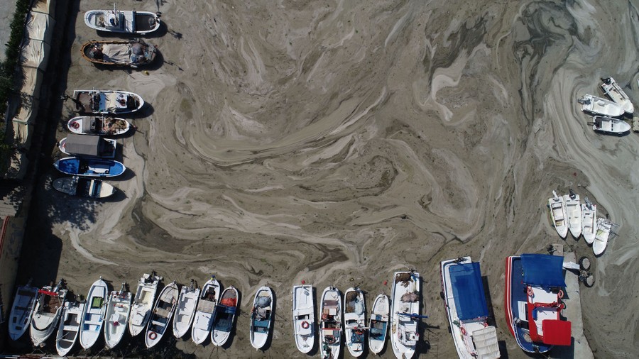 Sea snot collects among several boats in a small harbor.