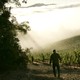 A silhouetted man walks toward a vineyard in fog