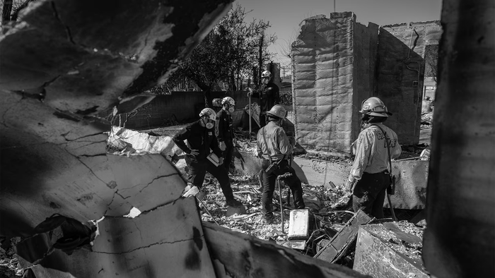 disaster responders