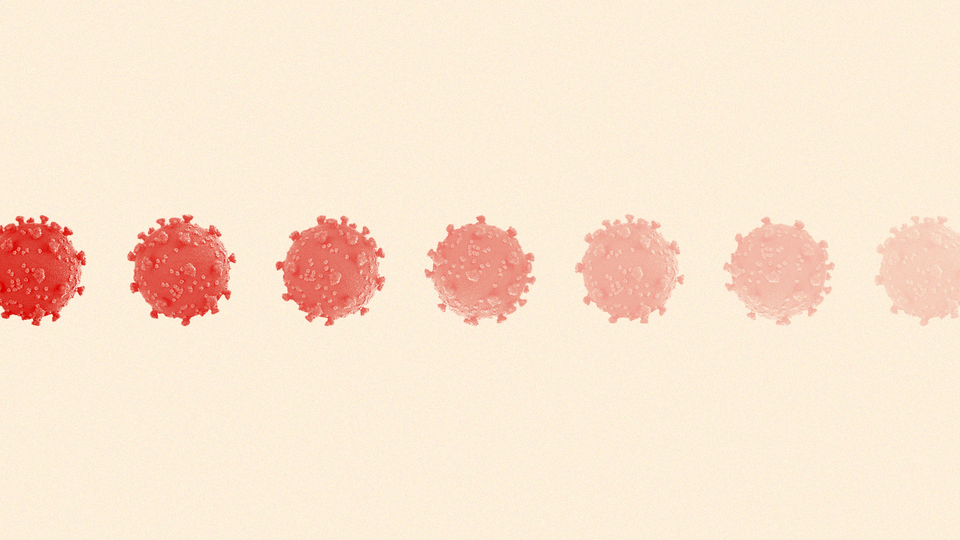 art of the coronavirus fading