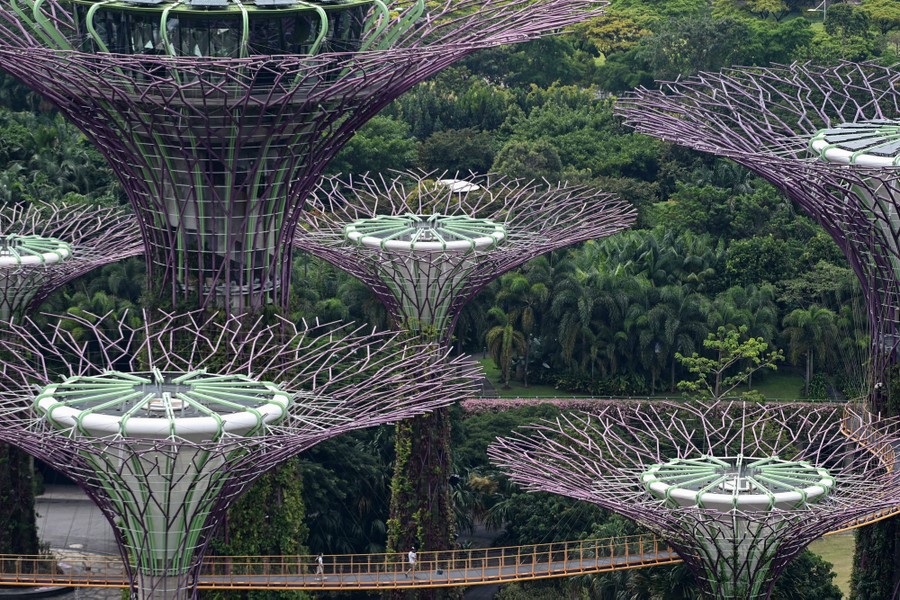 People walk on a pedestrian bridge suspended between large tree sculptures.