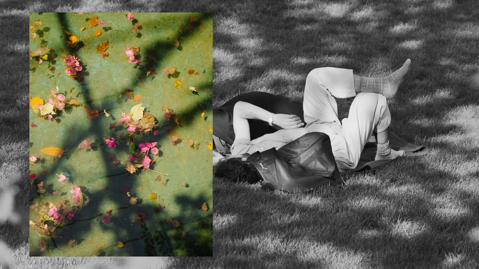 Black-and-white photo of a couple lying in the grass with a color photo of flowers overlaying it