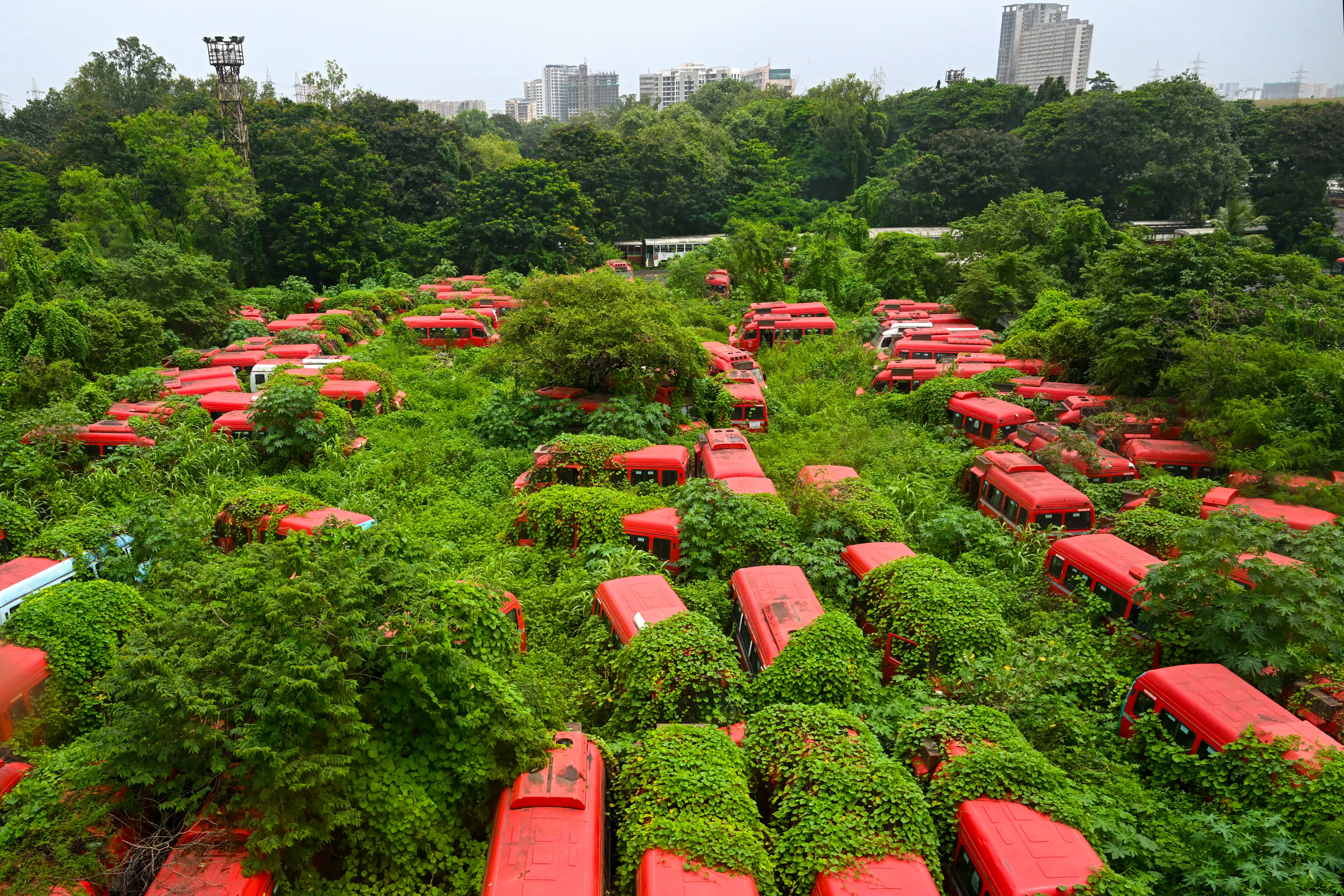 A large lot full of abandoned red buses.