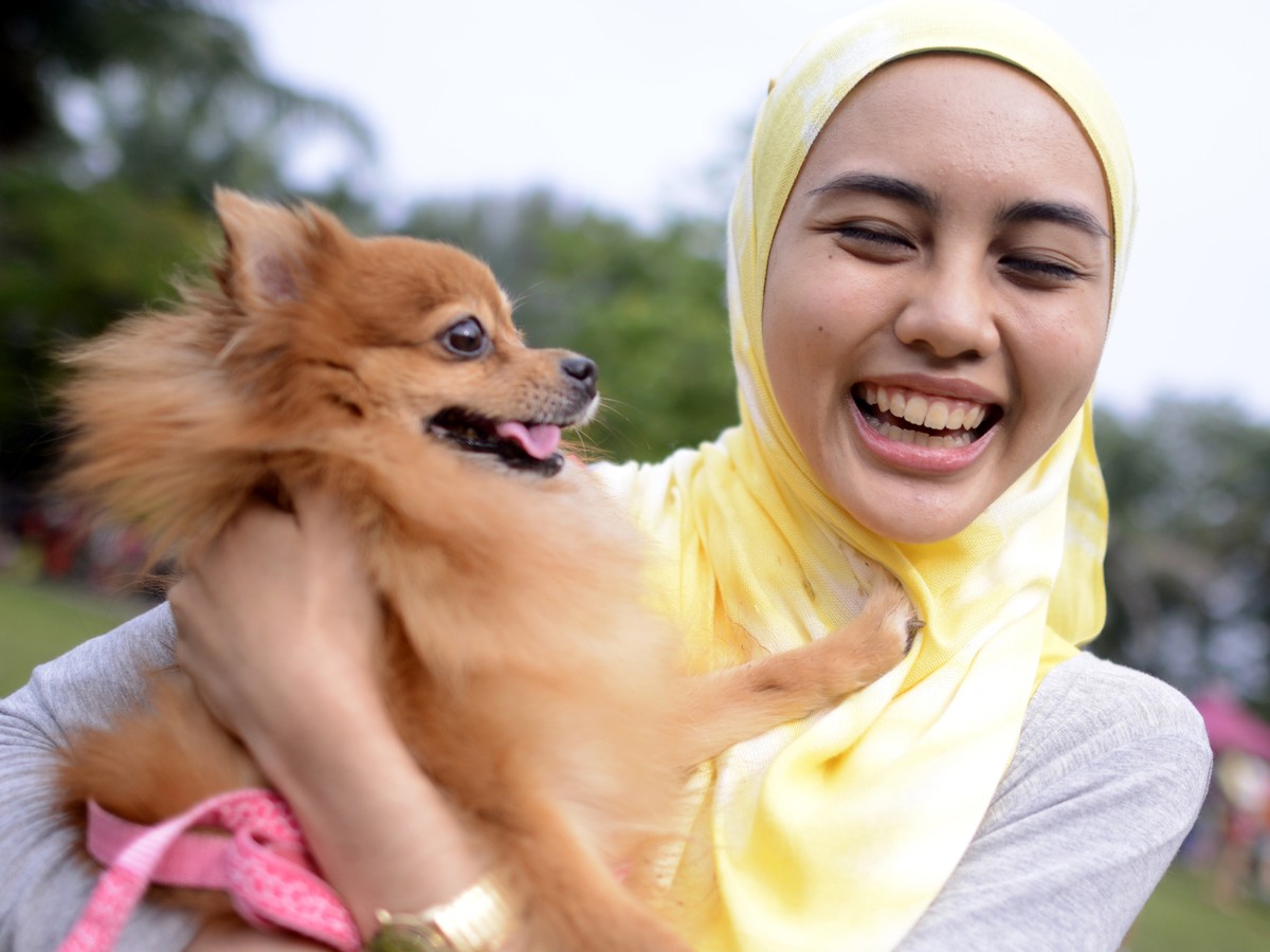 Is Dog Allowed In Islam