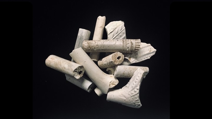 Several clay pipe fragments