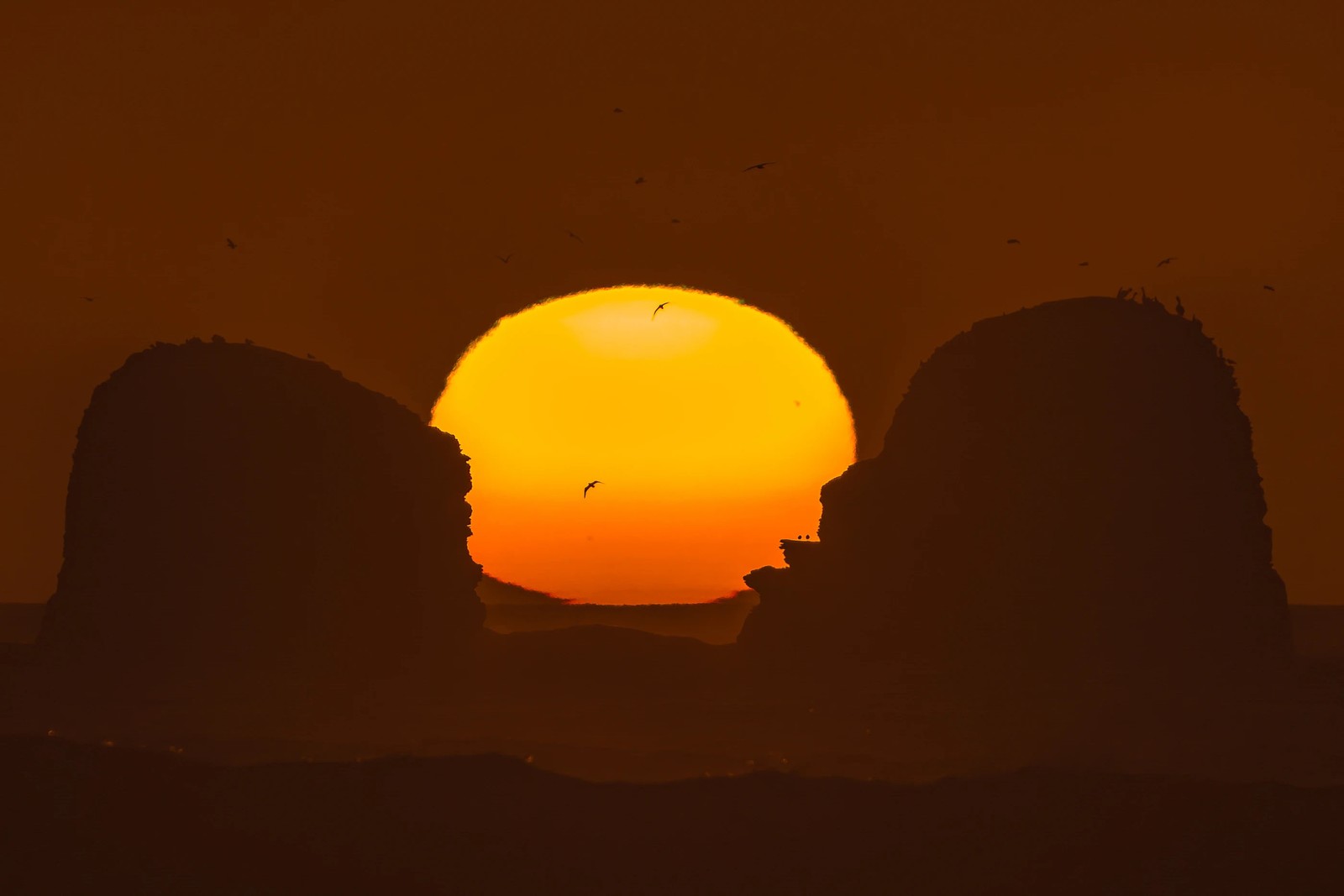 The setting sun looms huge, a gradient of orange and yellow, between two large rocks at the edge of the ocean with seabirds flying above.