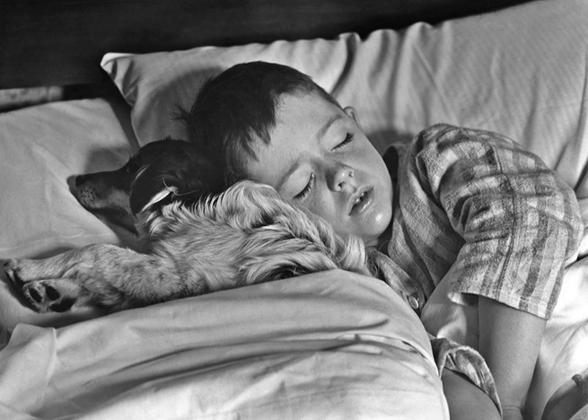 A child sleeping next to a dog