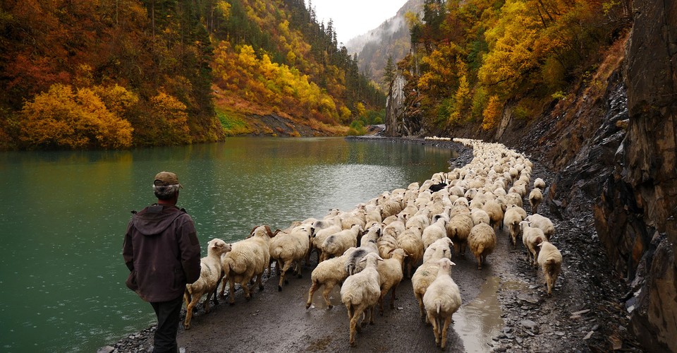 The Shepherds of the Tusheti Mountains The Atlantic