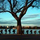A color photograph of naval ROTC midshipmen walking along the Potomac River with their uniforms on.