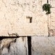 A man bows his head at the Western Wall.