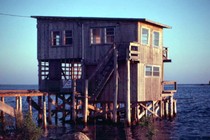 A home on stilts above a body of water