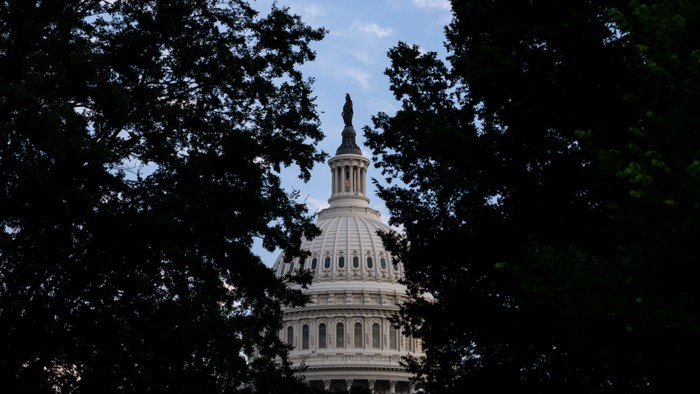 A photo of the U.S. Capitol building clouded by trees