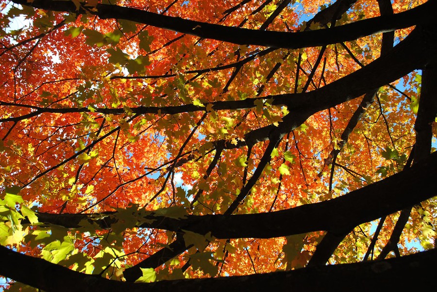 Fall ll. Осенняя пора. Fall is. Fall is in the Air